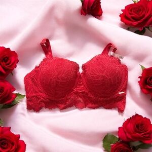 La Vie En Rose Scarlet Lace Bra
